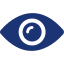 Vision Icon